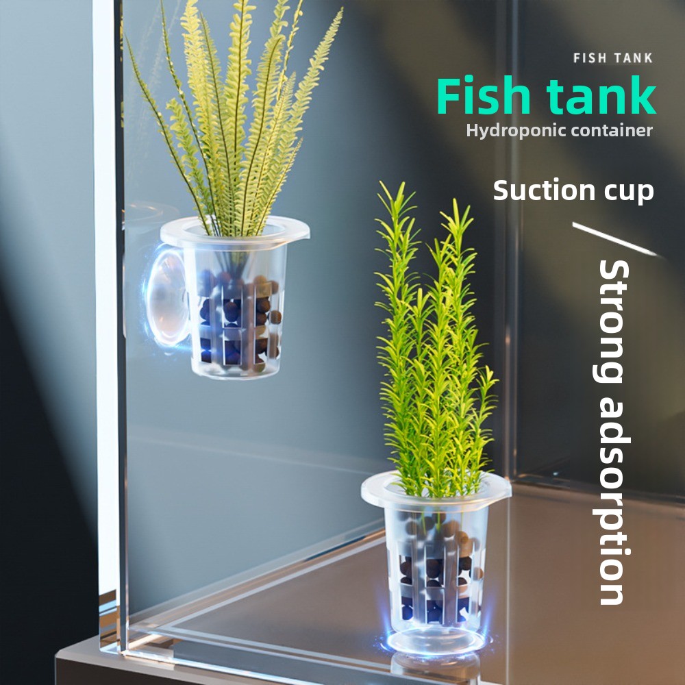 Plant Aquarium Pot - 10 stuks transparante planten hydrocultuur pot