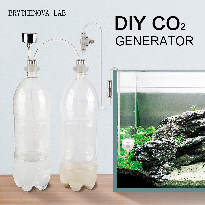 Aquarium Moss - CO2 Generator Aquarium Beplante Tank CO2