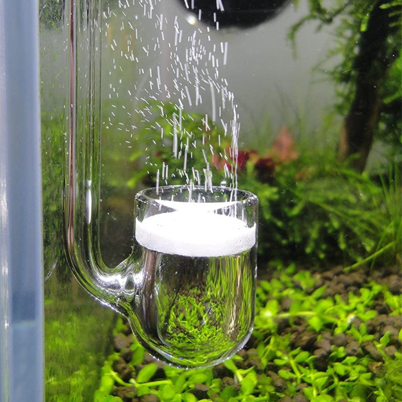 Aquarium Liquid Carbon - D0AD Glazen CO2-diffusor voor aquarium, beplant
