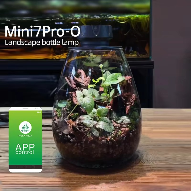 Planted Tank - COB Microlandscape Plant Invullicht Desktop Decoratie