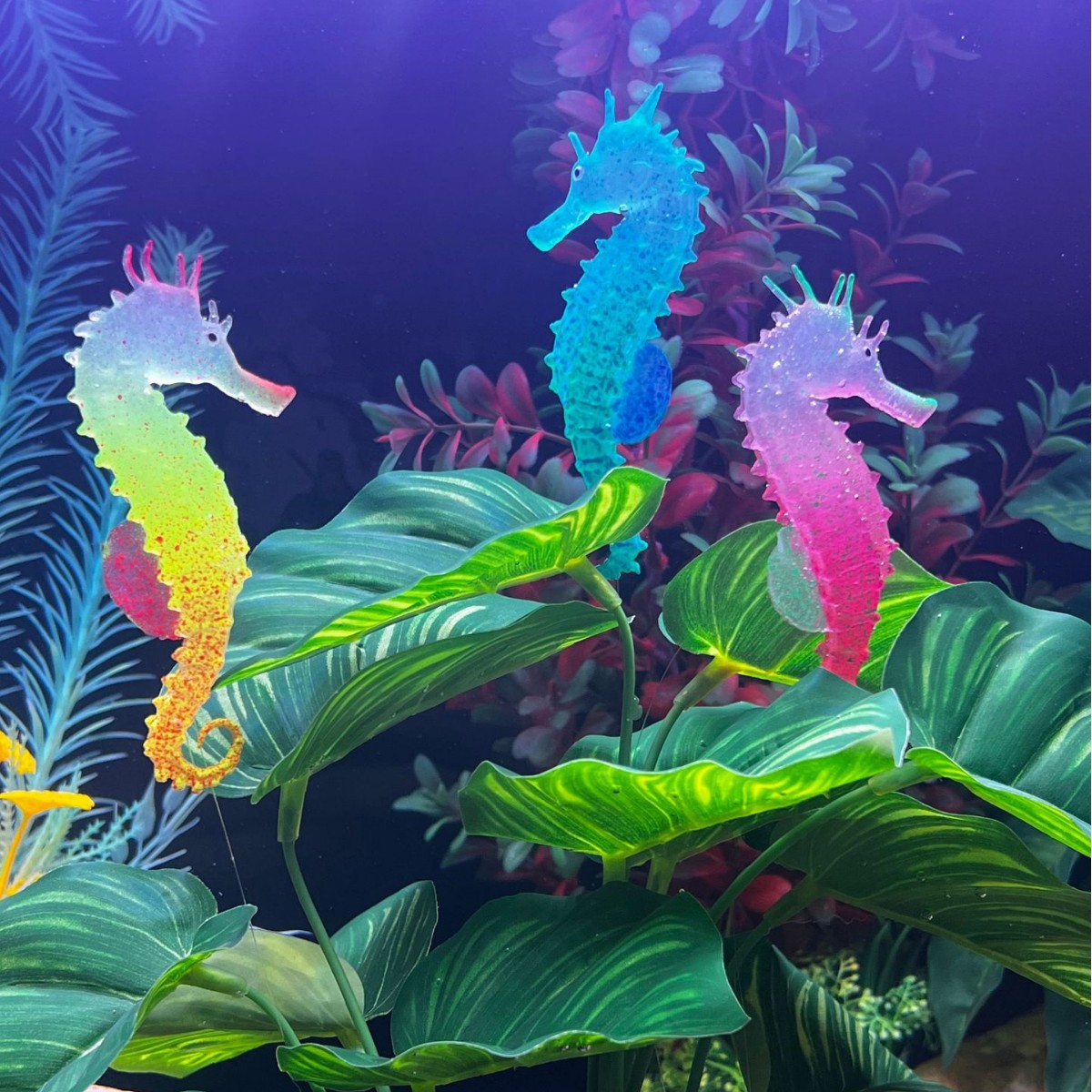 Aquarium Plant Substrate - Gesimuleerde Lichtgevende Zeepaardje Aquariumdecoratie, Kunstmatige Visornamenten,