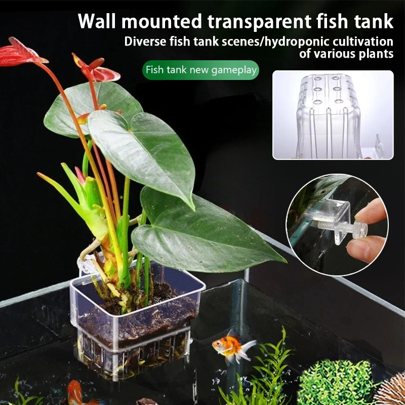 Plant Aquarium Pot - Aquarium hangende plantenbakjes, wandgemonteerde houder voor