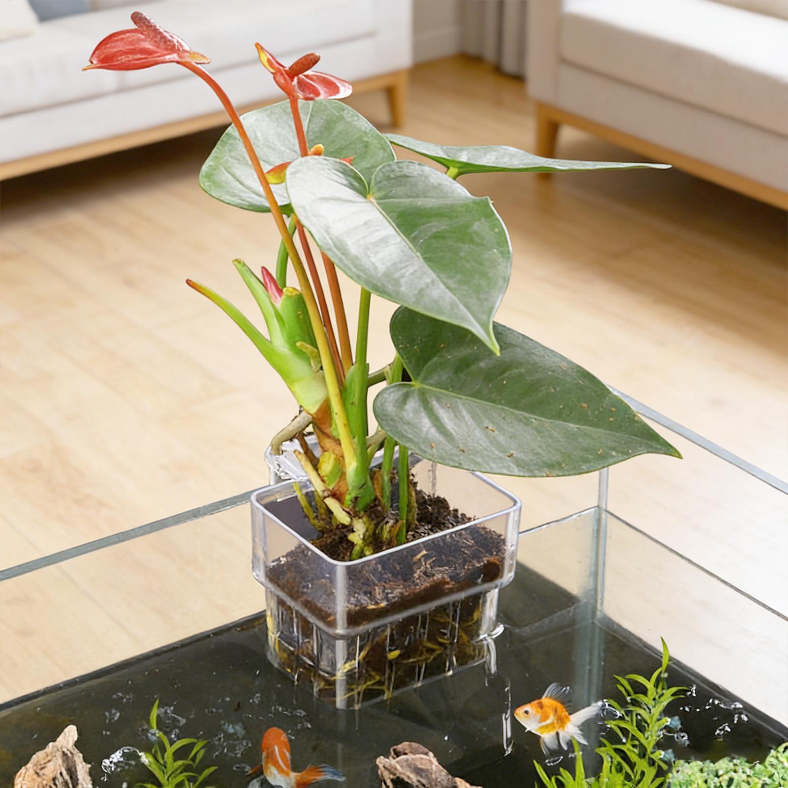Plant Aquarium Pot - Aquariumplantenmand Transparante hangende decoraties voor de