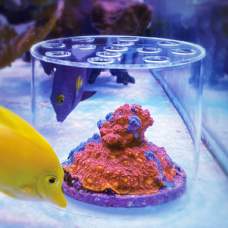 Aquarium Fertilizer - Vastocean Aquarium Acryl Koraal Feeder Kap