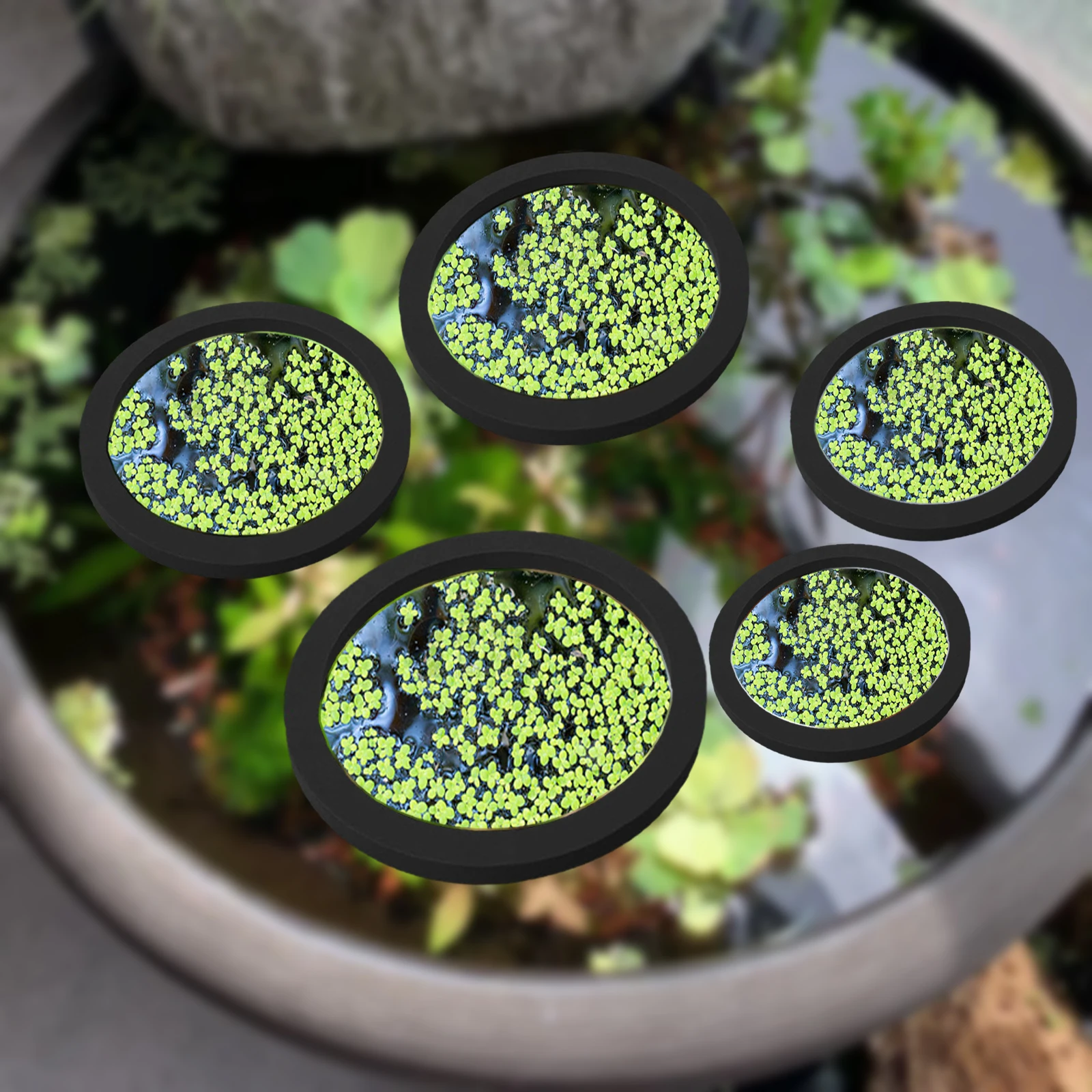 Planted Tank - 5 stks EVA Vis Voeden Ring