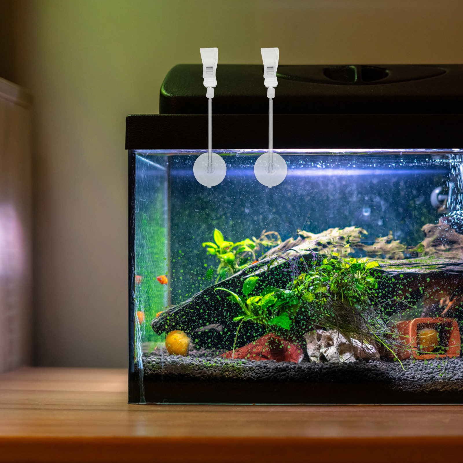 Aquarium Plant Holder - 3 stuks Aquarium Vissenbak Halloween Kerstmis