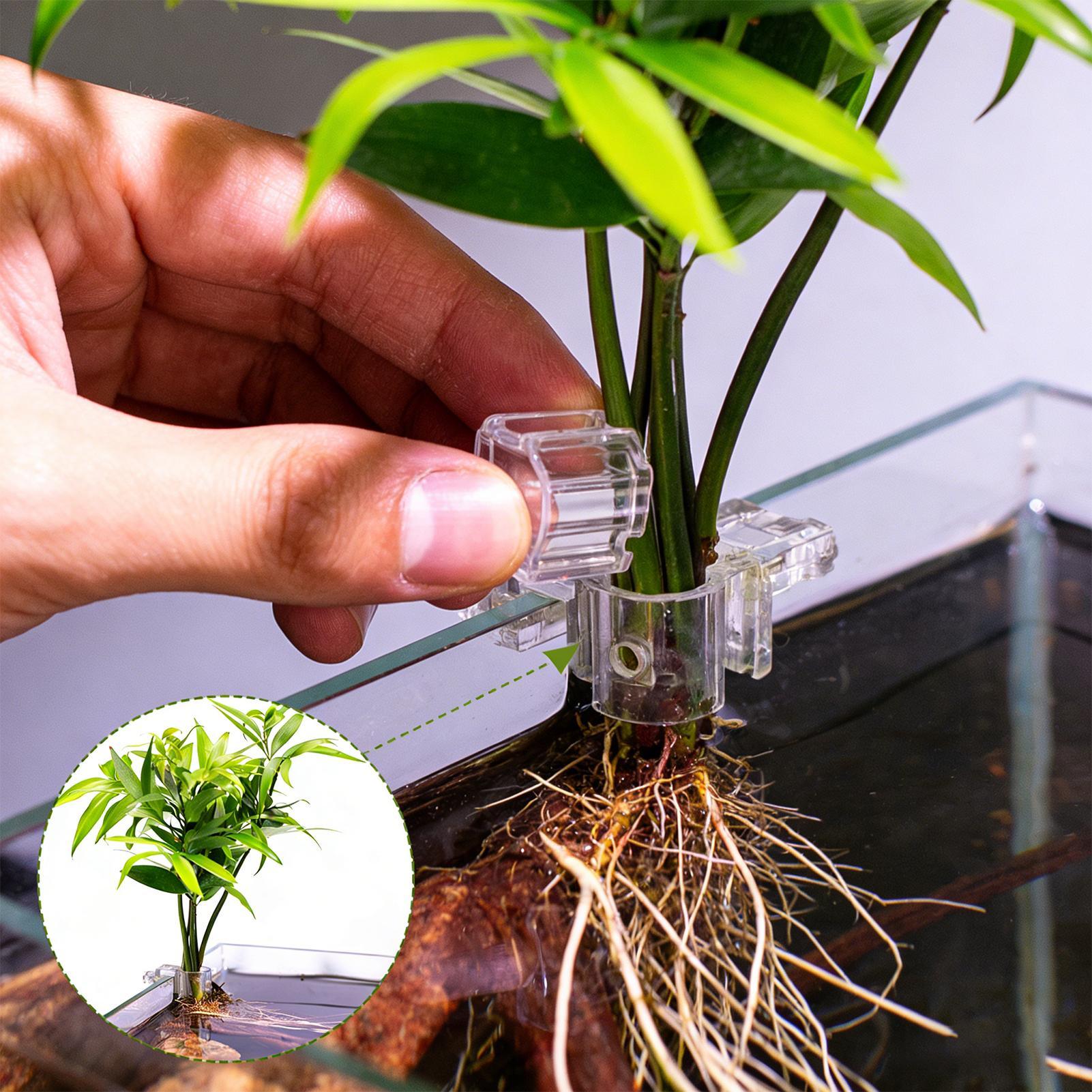 Aquarium Plants Live - 6 stuks aquariumplantenhouders, doorzichtige plantbeugel, ophangbare