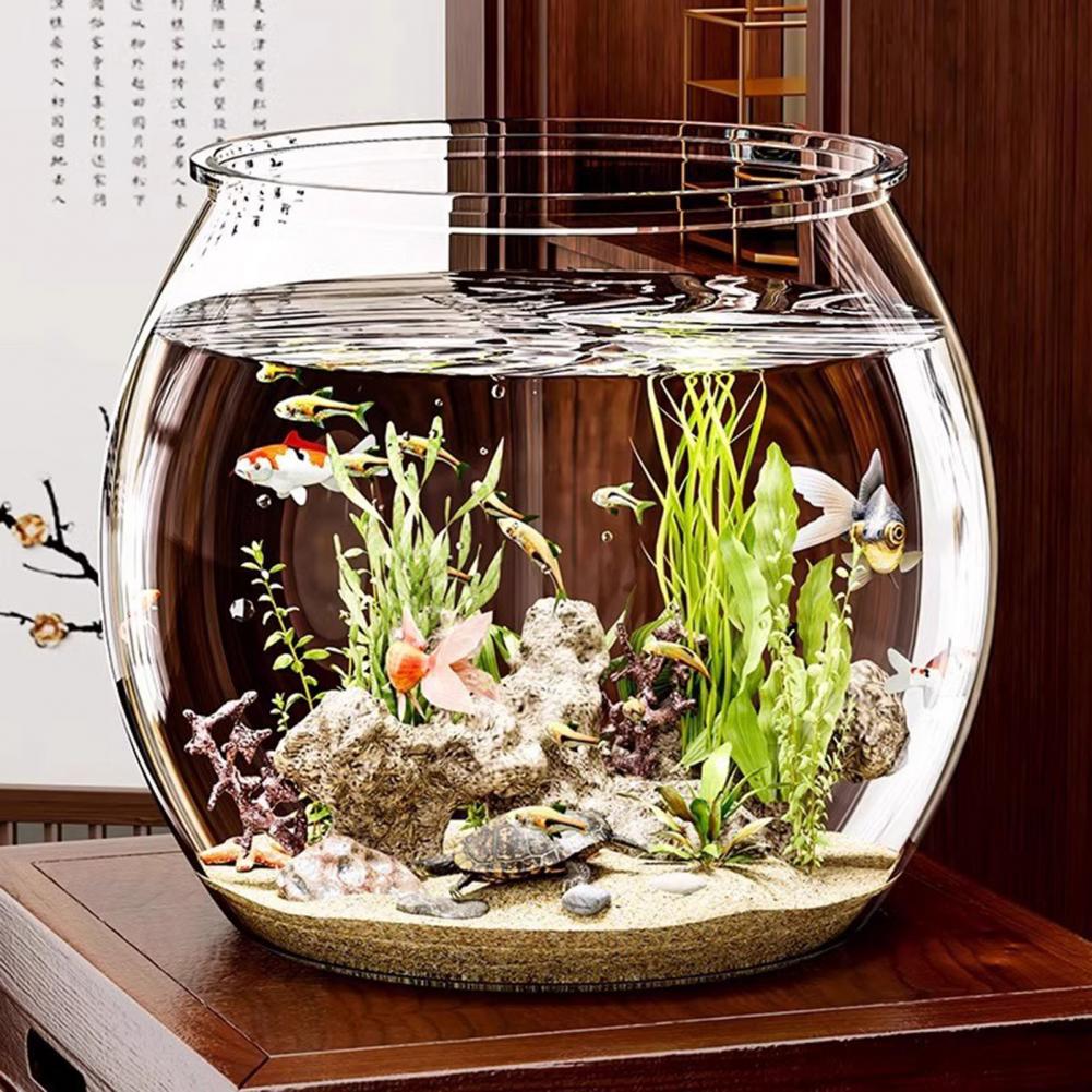 Plant Aquarium Pot - Doorzichtige plastic ronde viskom Aquarium Woonkamer