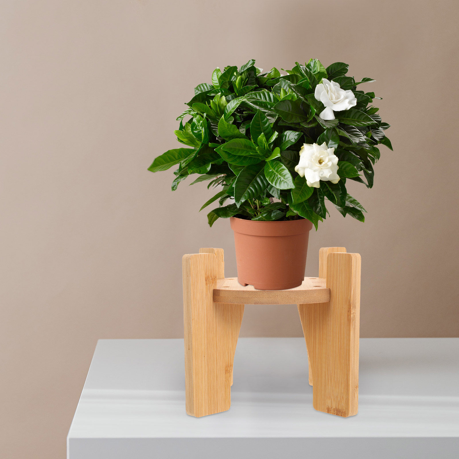 Planted Tank - Houten standaard voor drankdispenser, ronde voet
