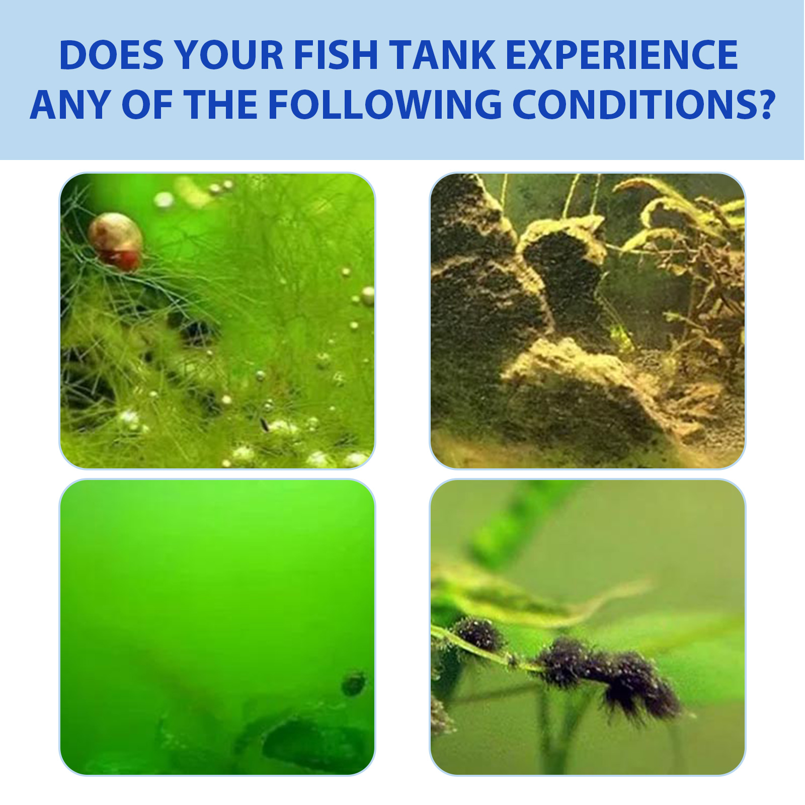 Biologisch aquariumalgenbestri - Planted Aquarium Algae Control recensie en prijs