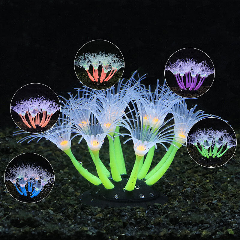 Siliconen gloeiende landschaps - Aquarium Plant Substrate recensie en prijs