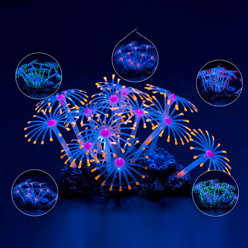 Siliconen gloeiende landschaps - Aquarium Plant Substrate recensie en prijs