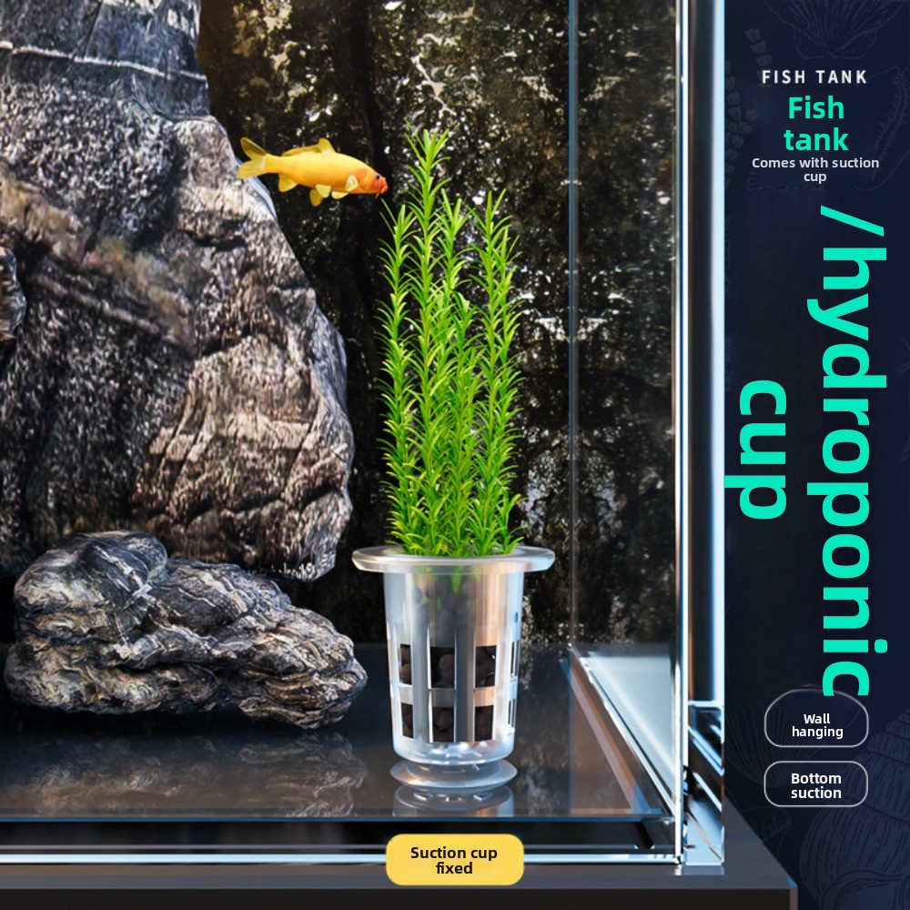10 stuks transparante planten  - Plant Aquarium Pot recensie en prijs