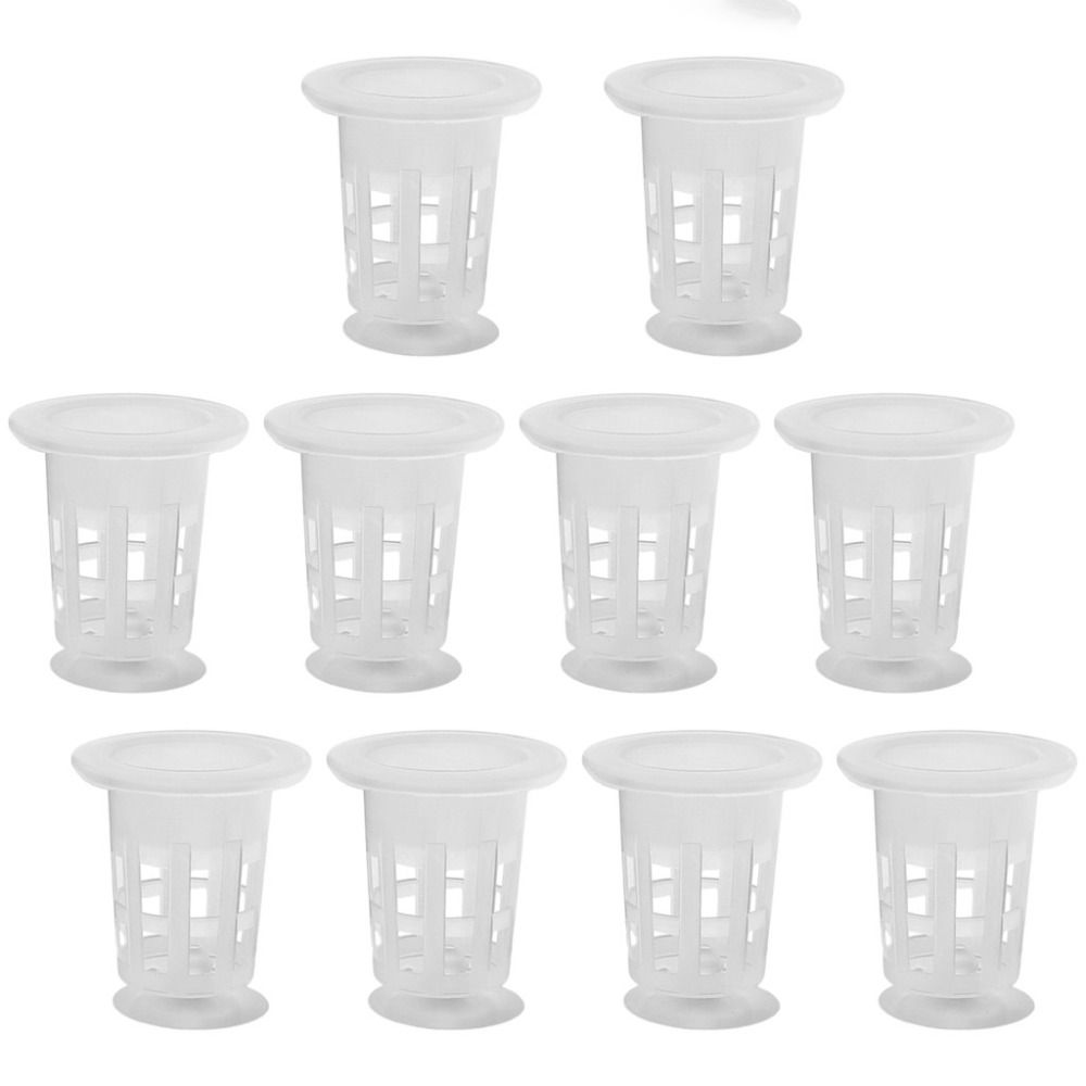 10 stuks transparante planten  - Plant Aquarium Pot recensie en prijs