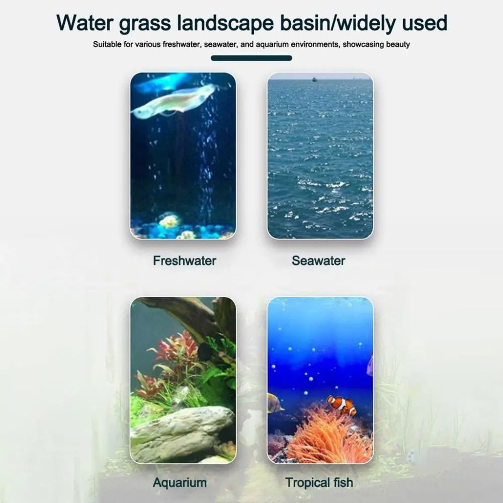 10 stuks transparante planten  - Plant Aquarium Pot recensie en prijs