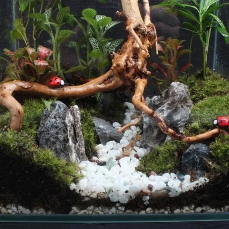 Natuurlijke Boomstam Drijfhout - Aquarium Plant Substrate recensie en prijs