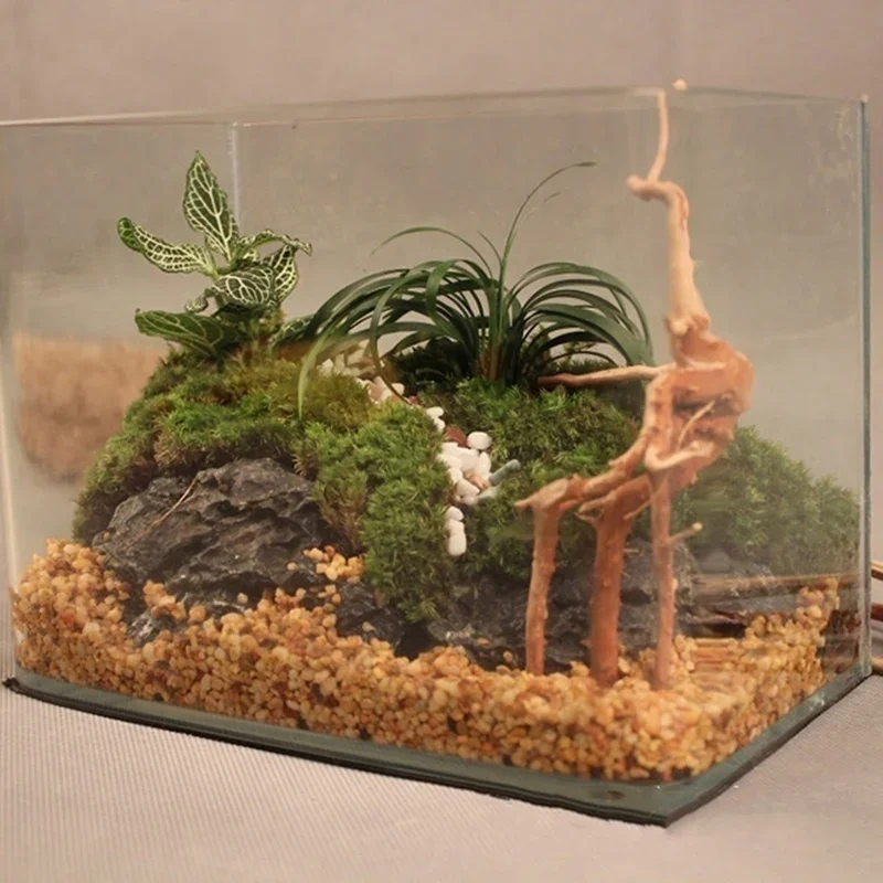 Natuurlijke Boomstam Drijfhout - Aquarium Plant Substrate recensie en prijs