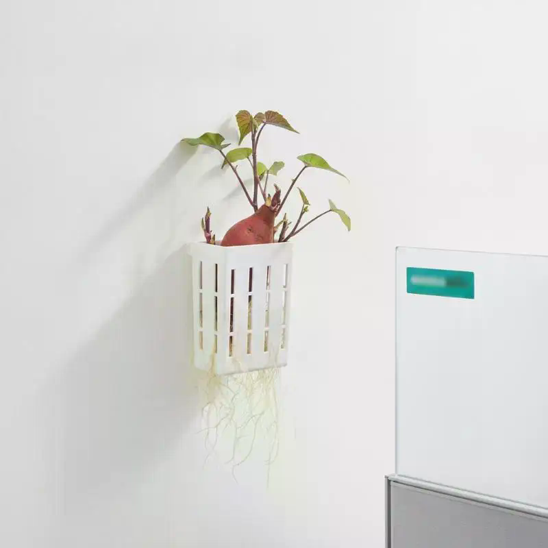 1 Stuks Hydroponische Onderste - Aquarium Plant Holder recensie en prijs