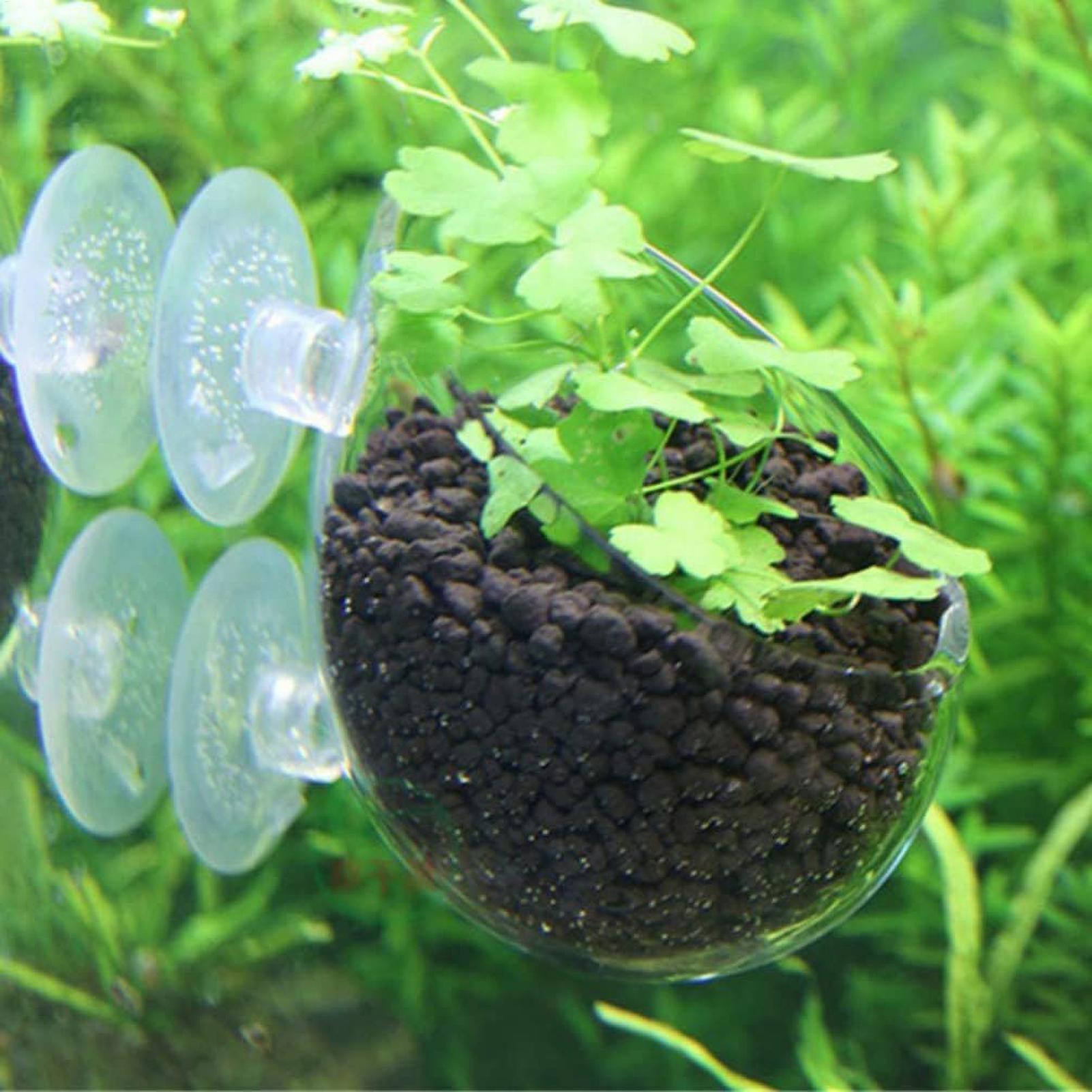 Aquariumplantenhouder Glazen A - Live Plant Aquarium recensie en prijs