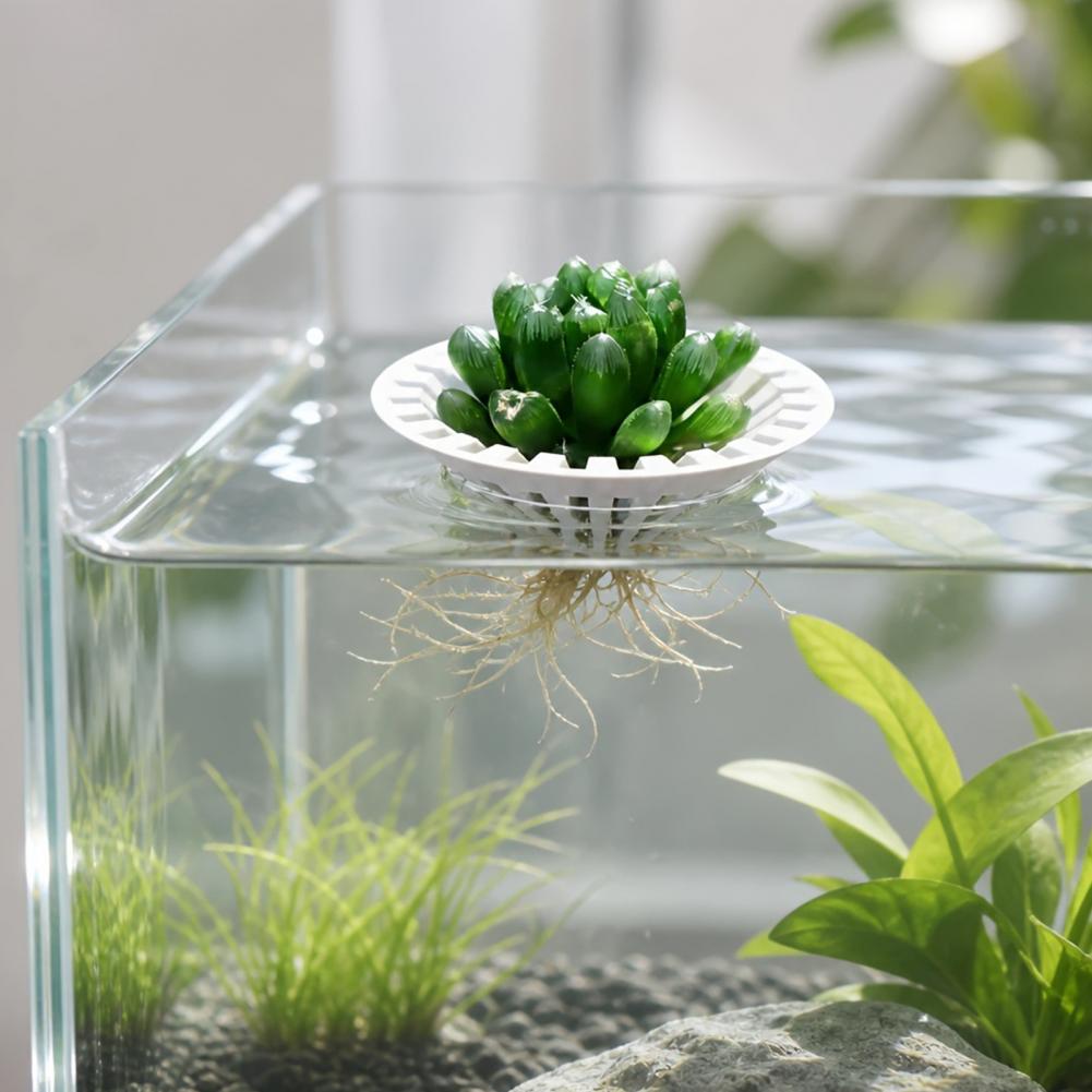 Aquarium Hydroponische Planten - Aquarium Plant Holder recensie en prijs