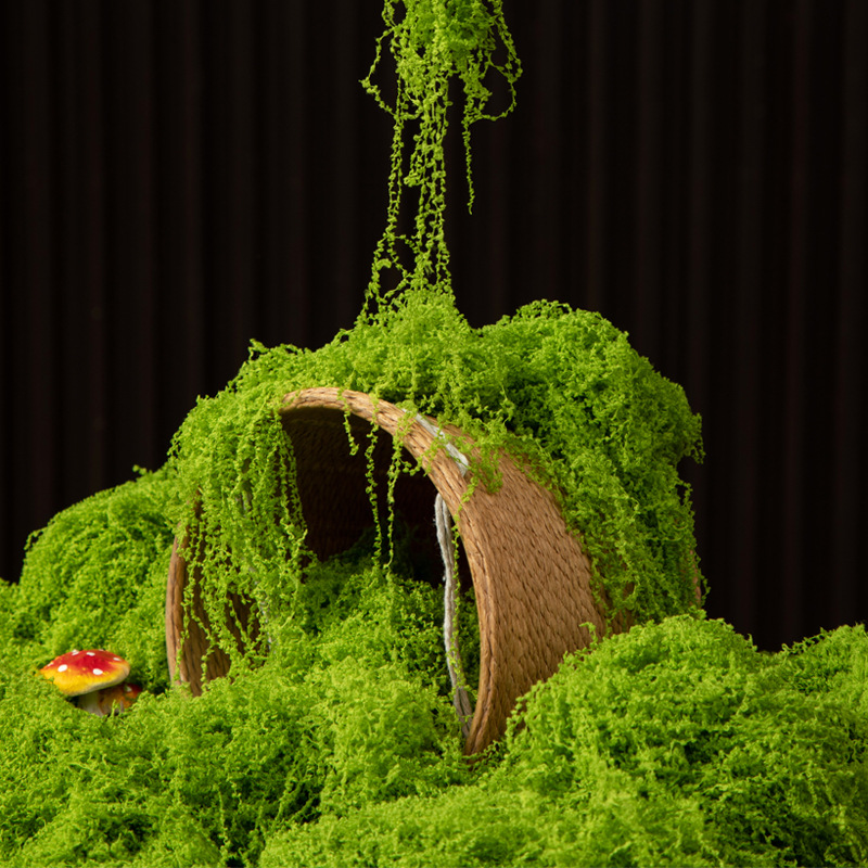 200g Eeuwig leven mos DIY amba - Aquarium Moss recensie en prijs