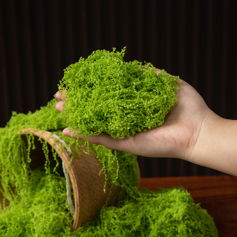 200g Eeuwig leven mos DIY amba - Aquarium Moss recensie en prijs