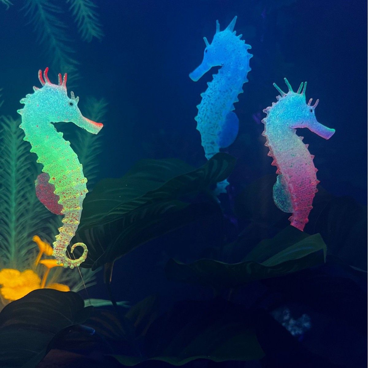 Gesimuleerde Lichtgevende Zeep - Aquarium Plant Substrate recensie en prijs