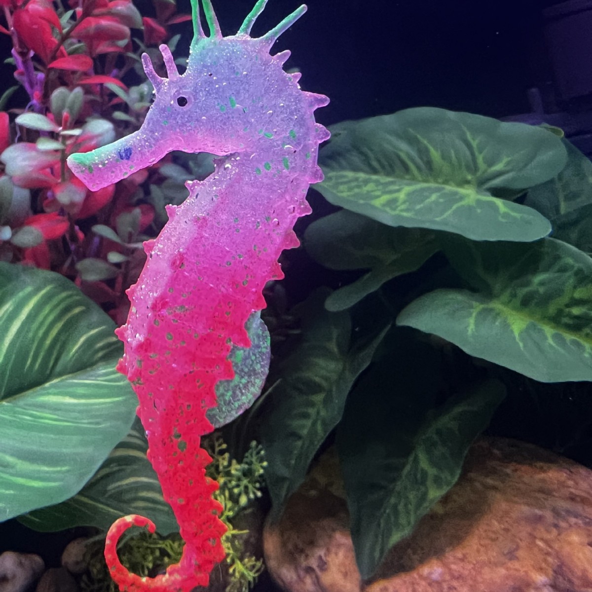 Gesimuleerde Lichtgevende Zeep - Aquarium Plant Substrate recensie en prijs