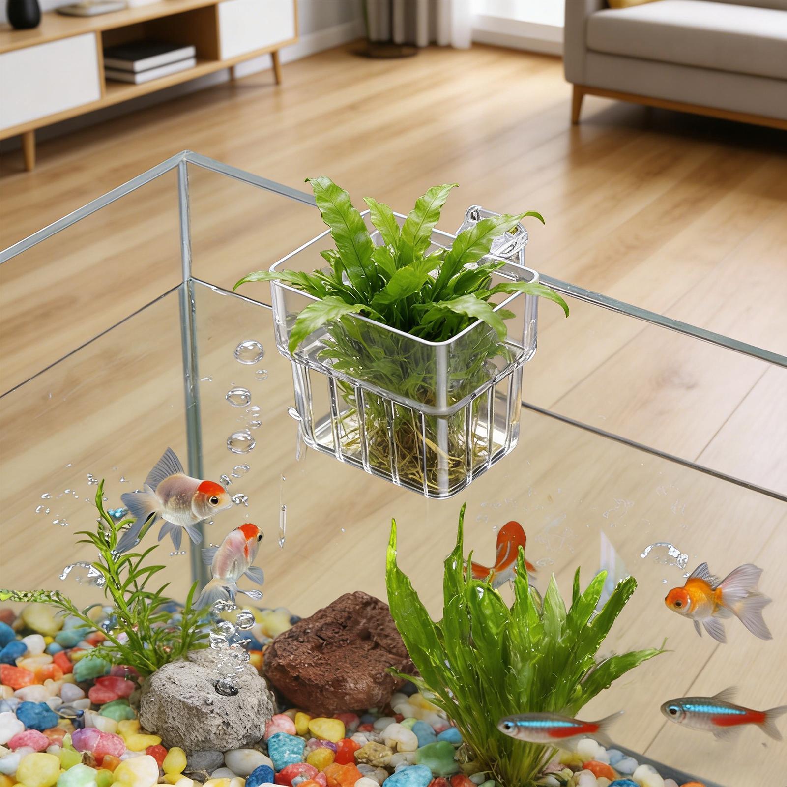 Visbak Vaste mand Wandgemontee - Aquarium Plants Live recensie en prijs