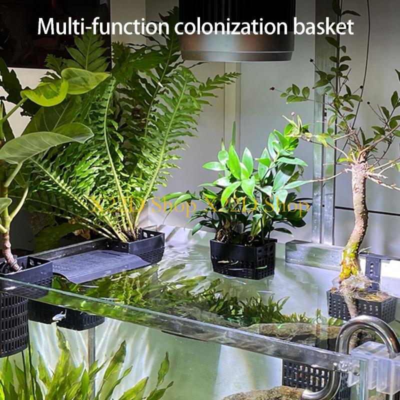 X22D moderne oude stijlen vert - Aquarium Plant Holder recensie en prijs