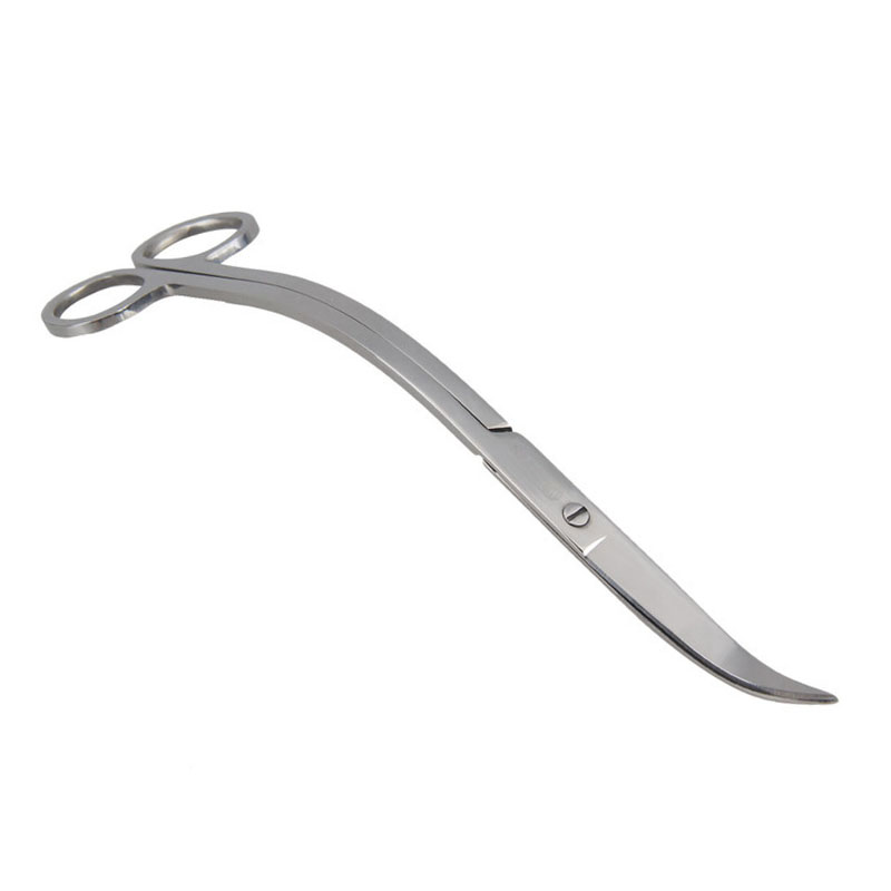 Aquarium Schaar Gereedschap Aq - Aquarium Plant Holder recensie en prijs