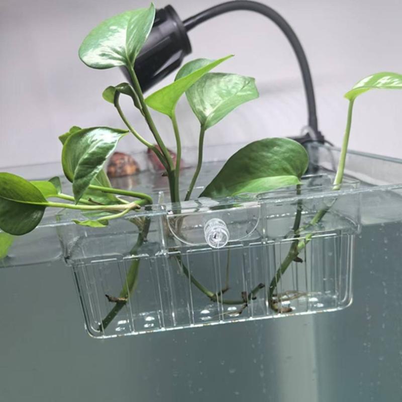Hydroponische plantenmand, voe - Aquarium Plant Holder recensie en prijs
