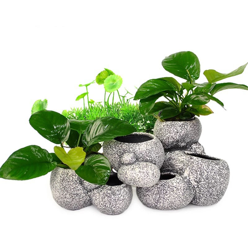 Vis Garnalen Incubatie Onderda - Plant Aquarium Pot recensie en prijs