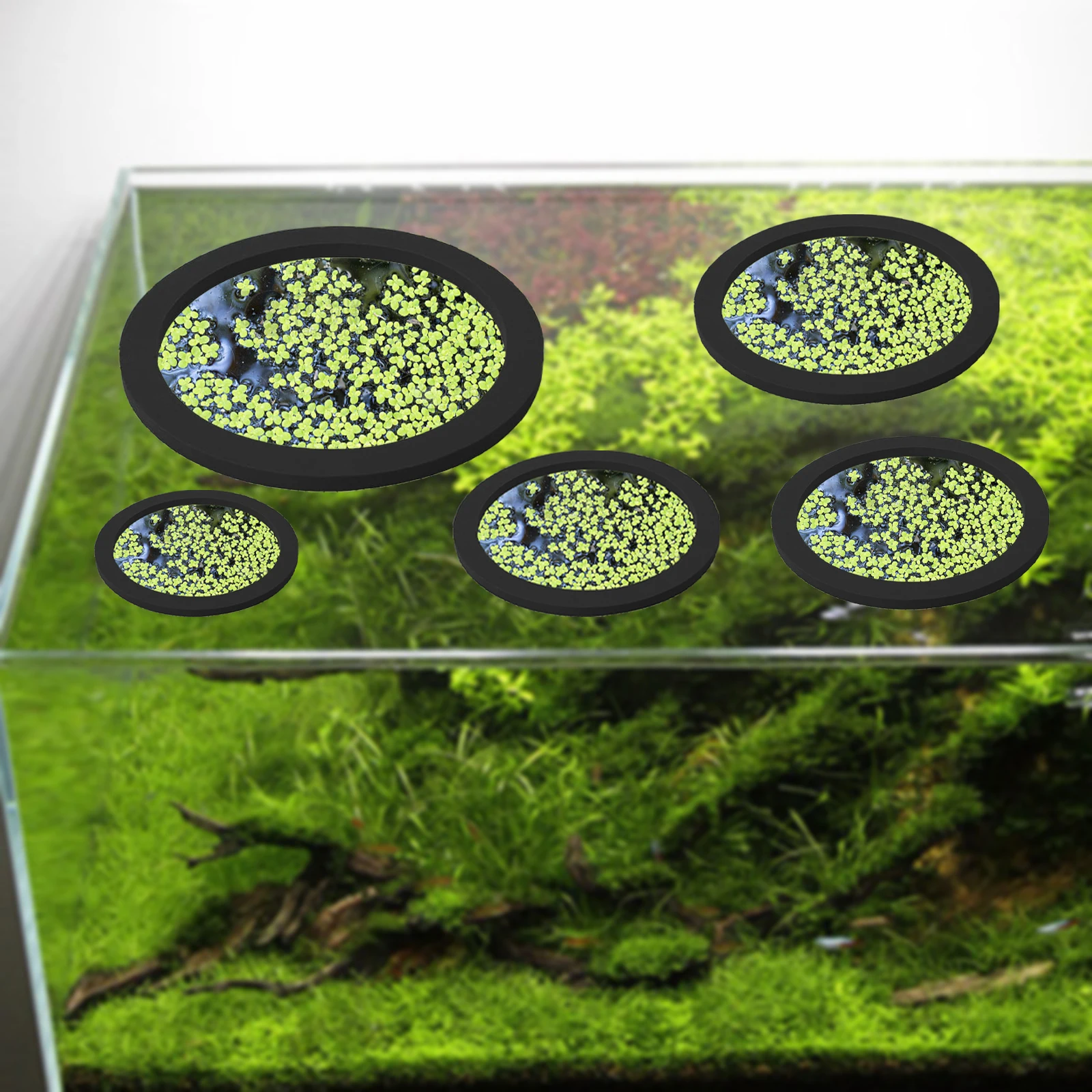 5 stks EVA Vis Voeden Ring Aqu - Planted Tank recensie en prijs