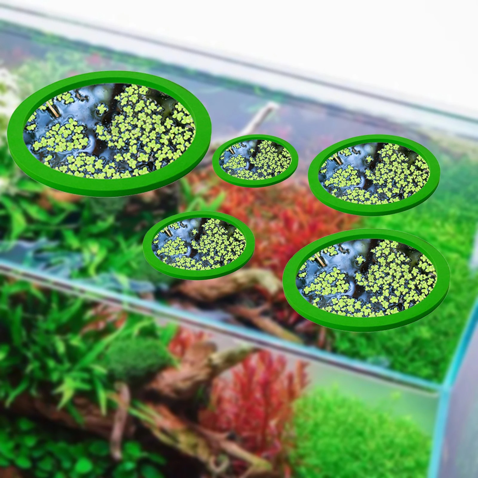 5 stks EVA Vis Voeden Ring Aqu - Planted Tank recensie en prijs
