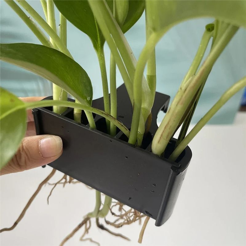 AT05-Aquarium Plantenbak Aquar - Live Plant Aquarium recensie en prijs