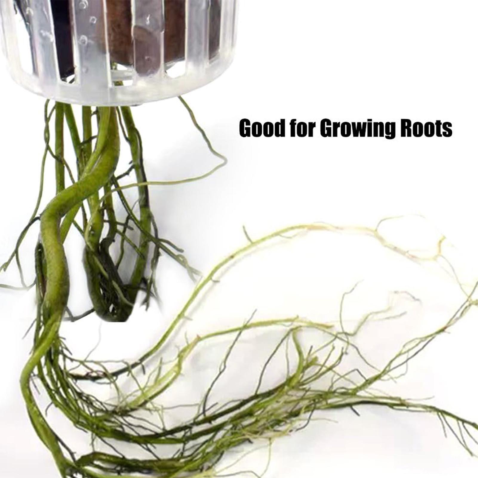 2 stuks ophangbare houder voor - Aquarium Plant Holder recensie en prijs