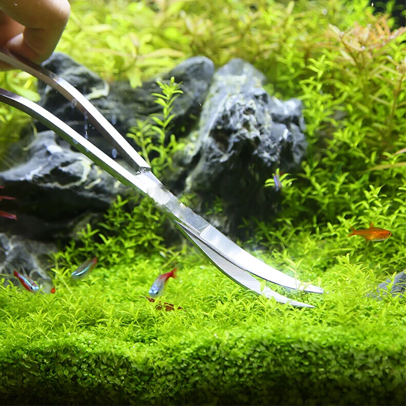 Aquarium Schaar Gereedschap Aq - Aquarium Plant Holder recensie en prijs