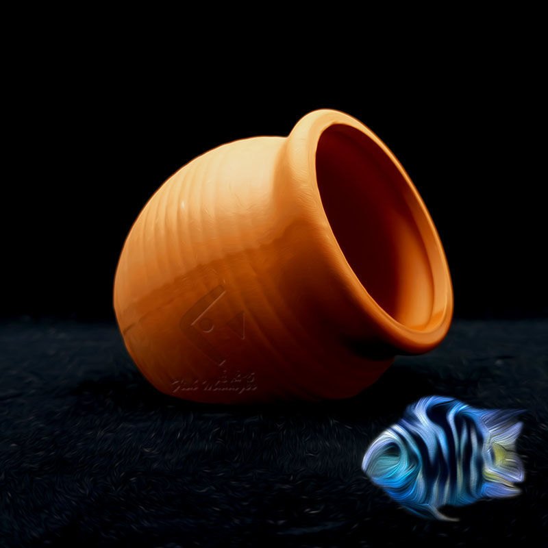 Aquarium Mini Keramische Tank  - Aquarium Driftwood recensie en prijs