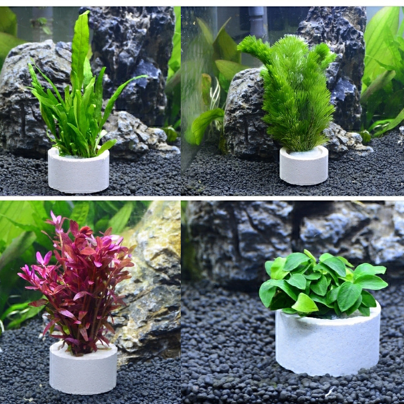 Aquariumdecoratie keramische r - Plant Aquarium Pot recensie en prijs