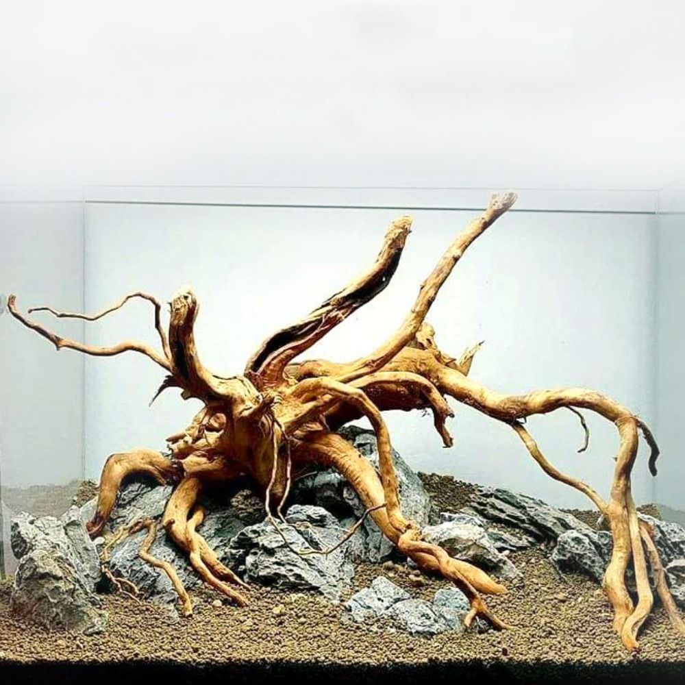 20-25CM Grote Aquarium Drijfho - Aquarium Driftwood recensie en prijs