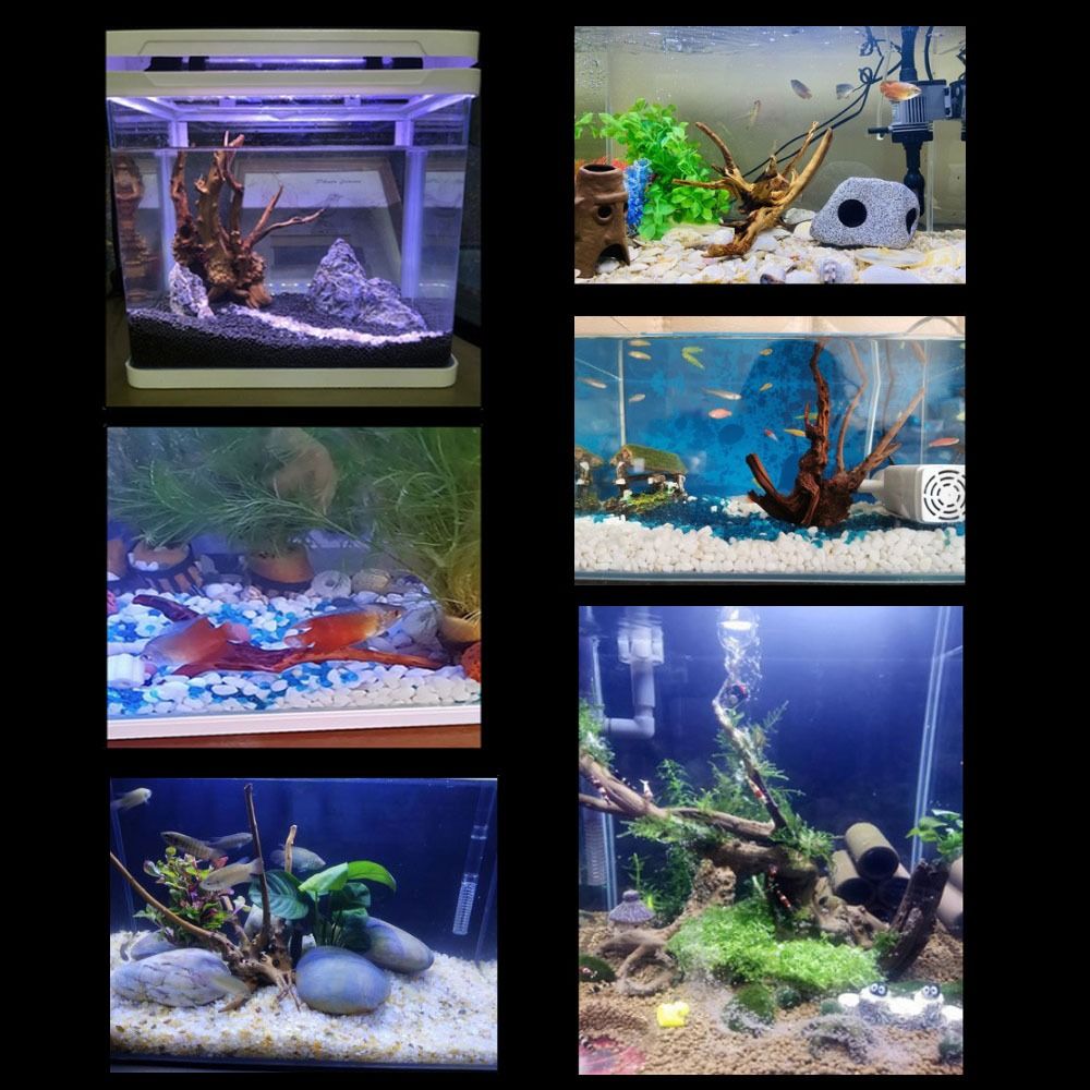 20-25CM Grote Aquarium Drijfho - Aquarium Driftwood recensie en prijs