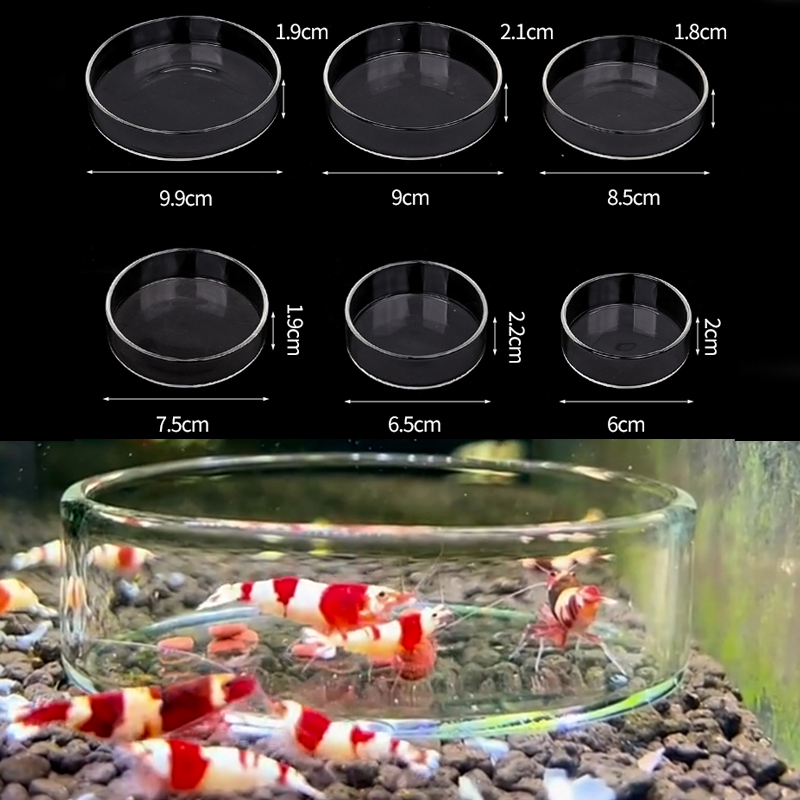 Garnalen Voerbak Hoge Transpar - Aquarium Fertilizer recensie en prijs