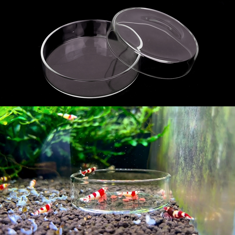 Garnalen Voerbak Hoge Transpar - Aquarium Fertilizer recensie en prijs
