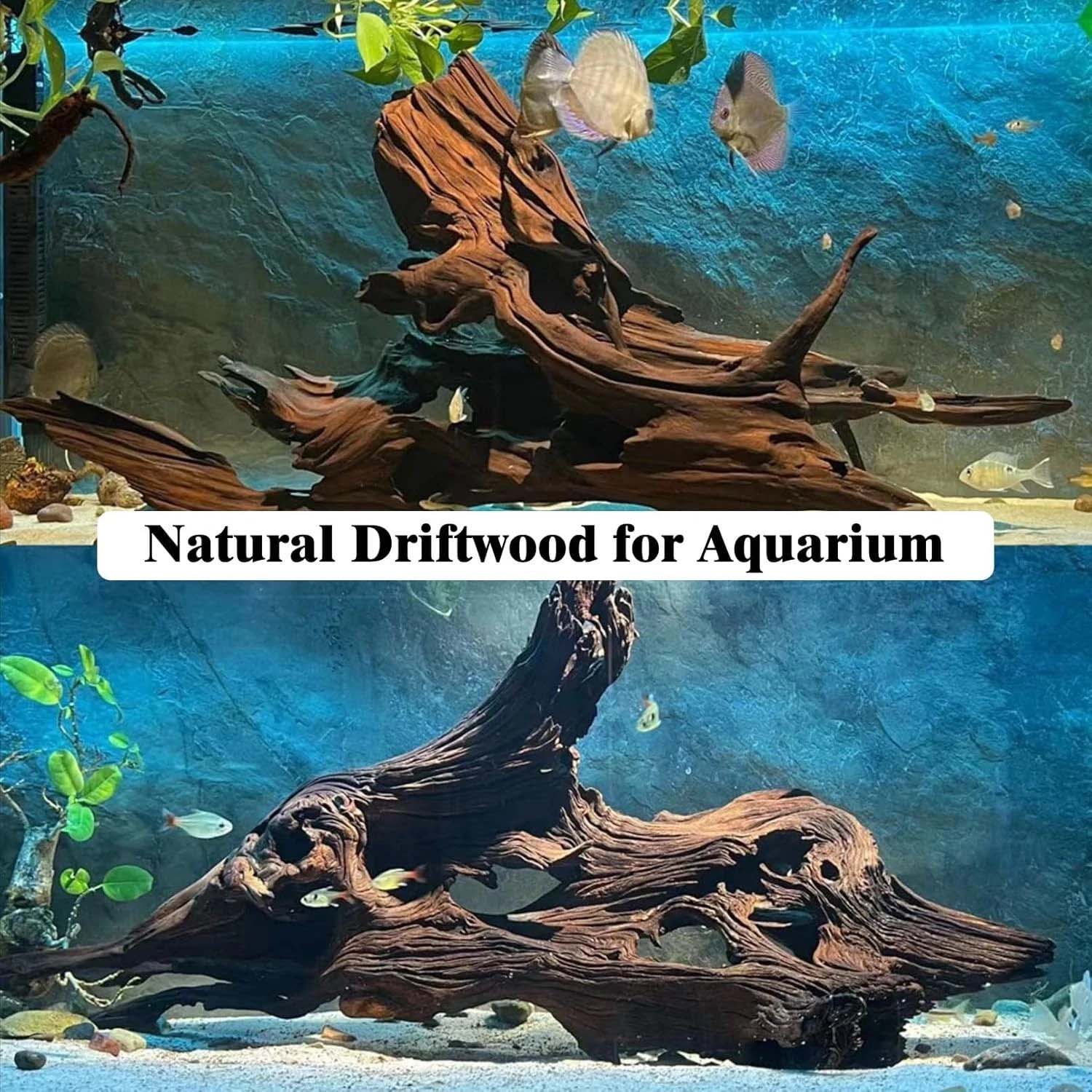 15-20CM 1 Stuk Natuurlijk Drij - Aquarium Plant Substrate recensie en prijs