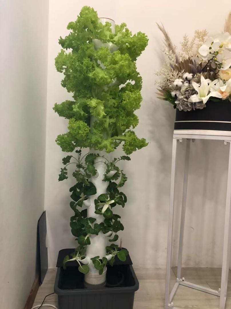 Verticale Hydroponische Kweekt - Planted Tank recensie en prijs