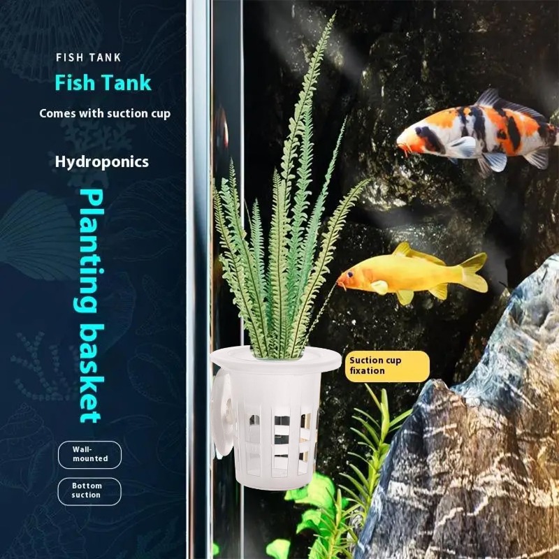 10/20/30 stuks plastic aquariu - Aquarium Plants Live recensie en prijs
