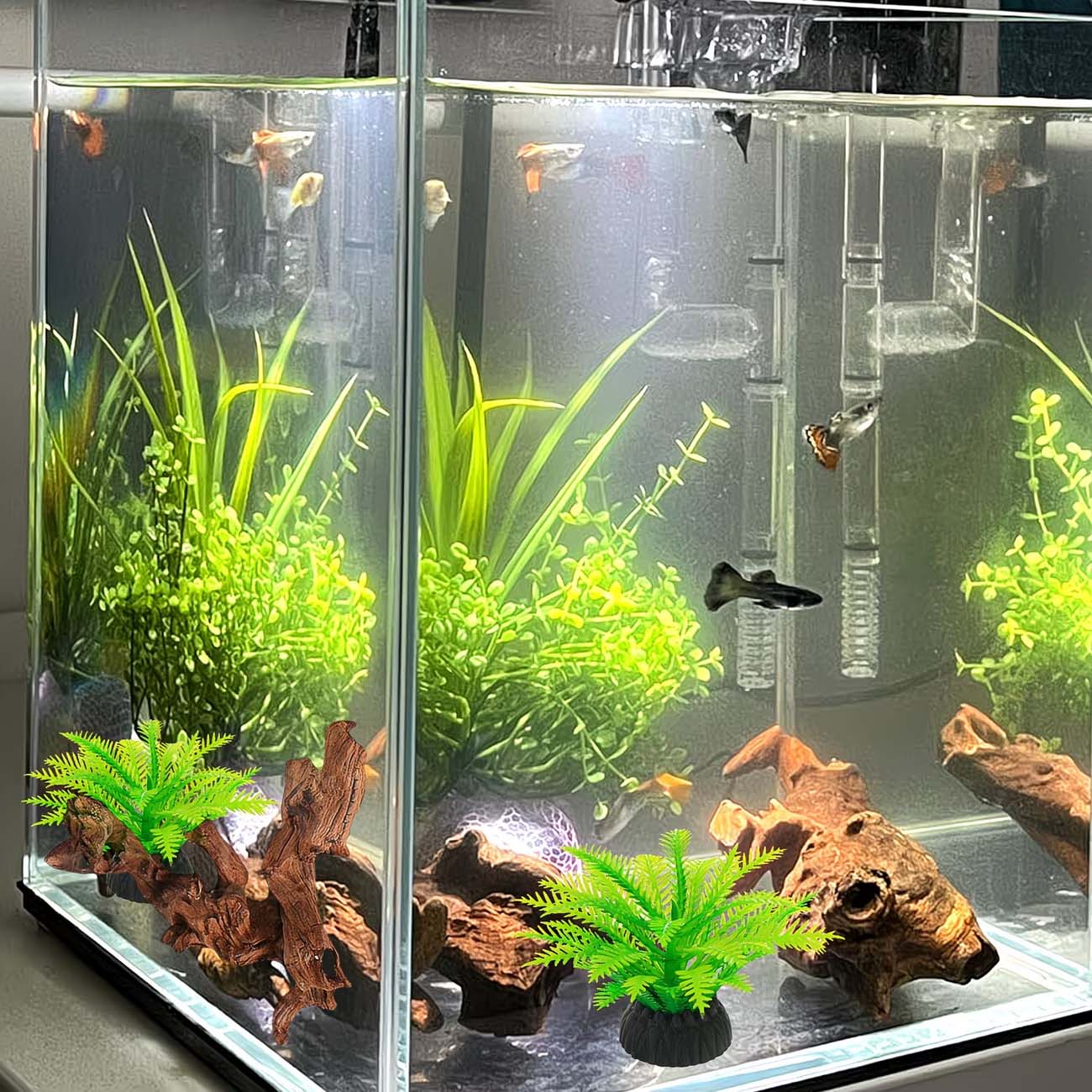 5-10CM Natuurlijk Zinkbaar Dri - Aquarium Driftwood recensie en prijs