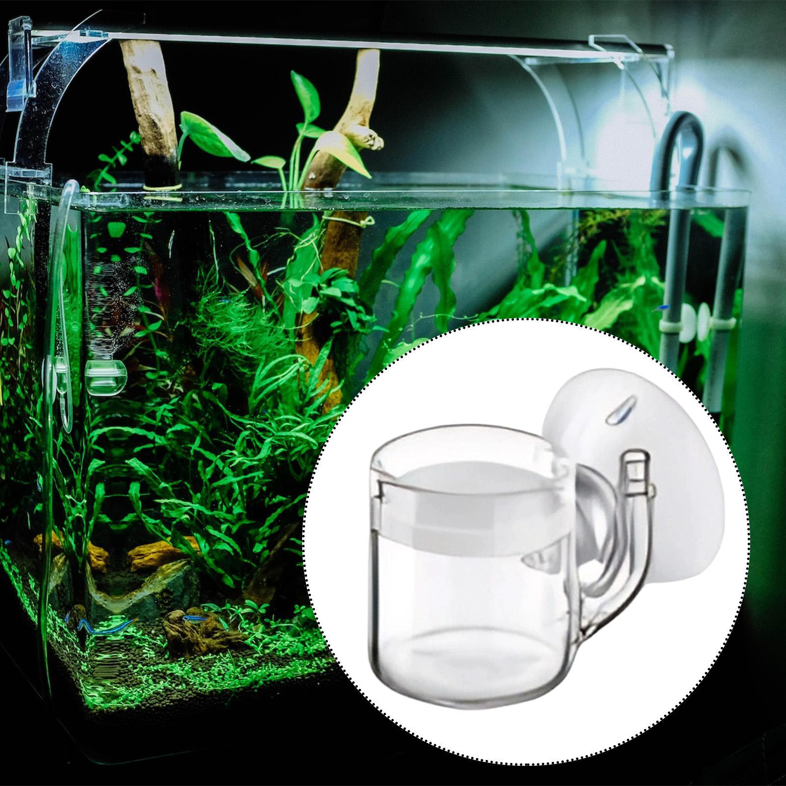 CO2-diffusor met platte bodem, - Planted Aquarium Cleaning recensie en prijs