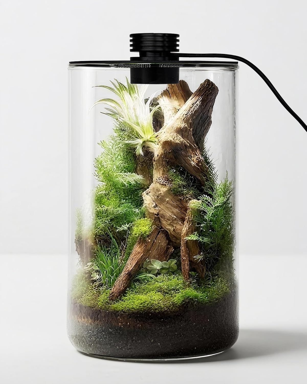 Glazen terrarium voor binnen m - Planted Tank recensie en prijs
